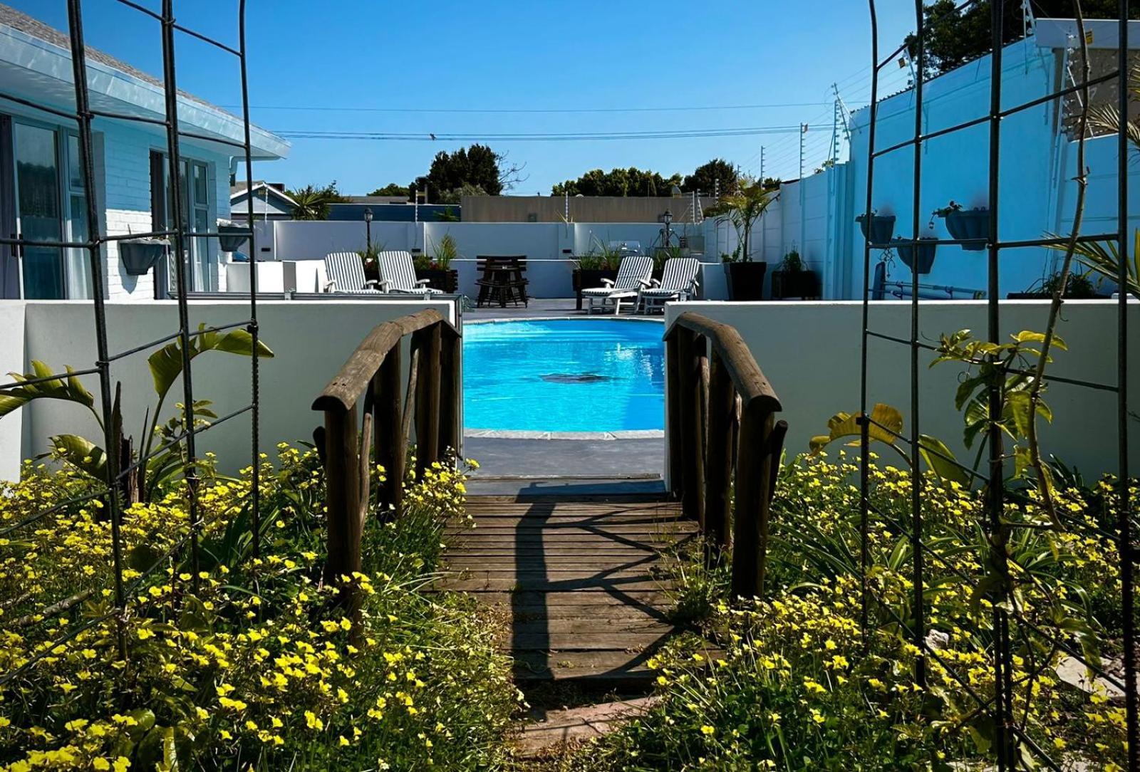 Rosa - Milnerton Homestay