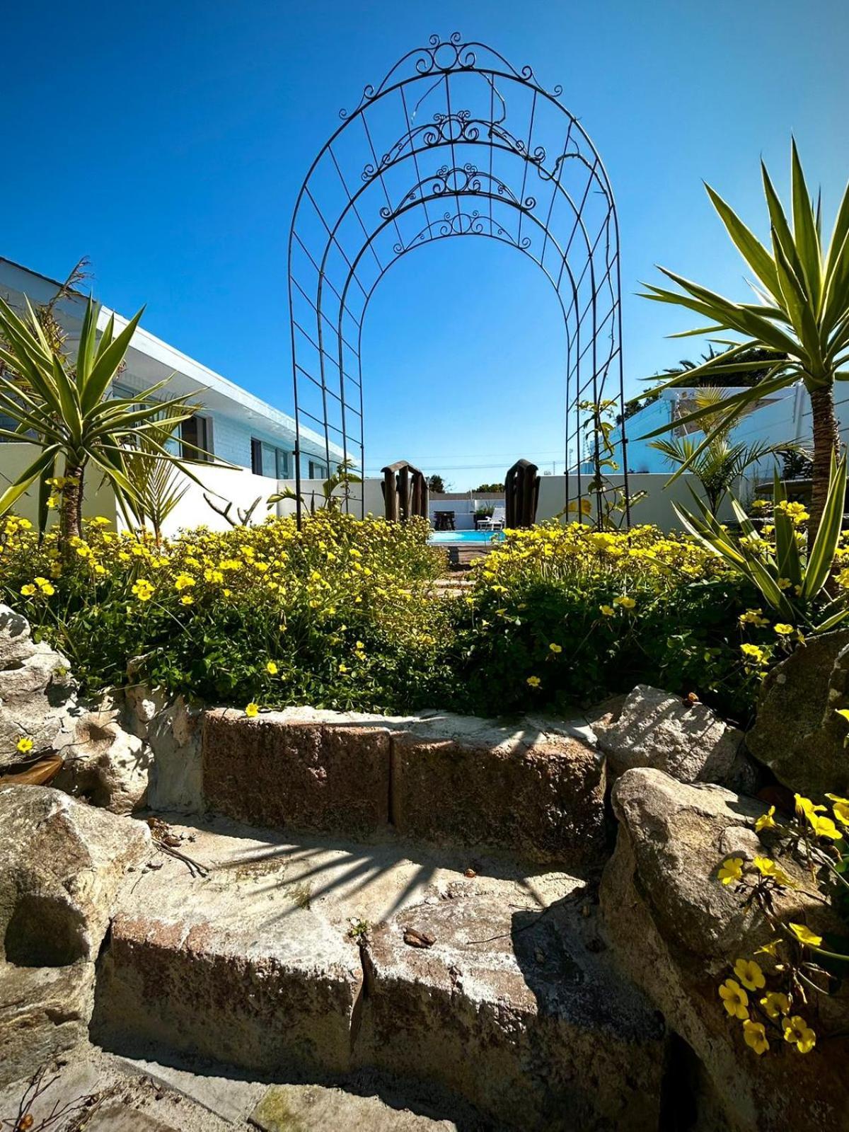 Rosa - Milnerton